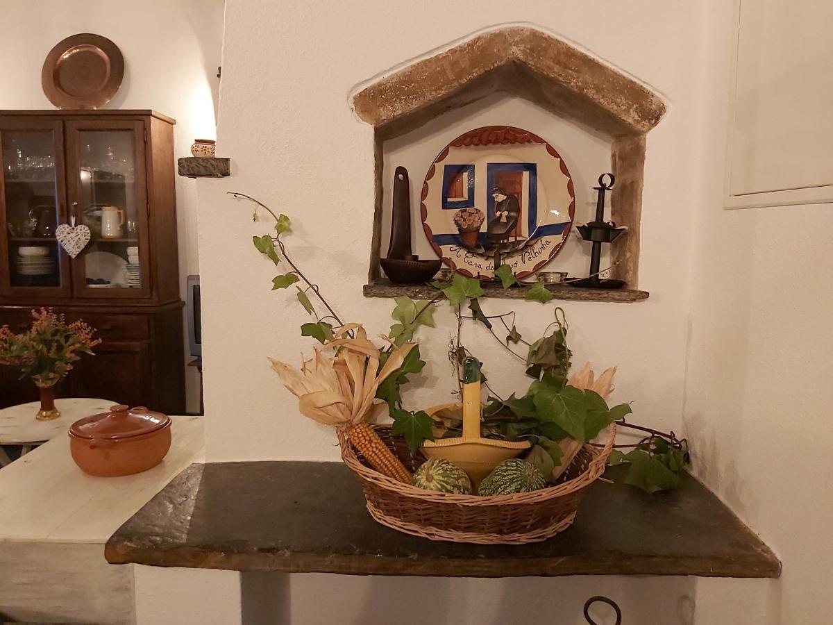 Casa Da Avo Velhinha Villa Telheiro Eksteriør billede